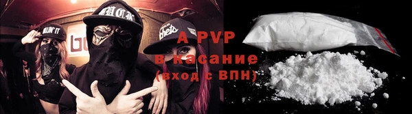СК Новодвинск
