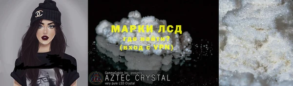 индика Новокубанск
