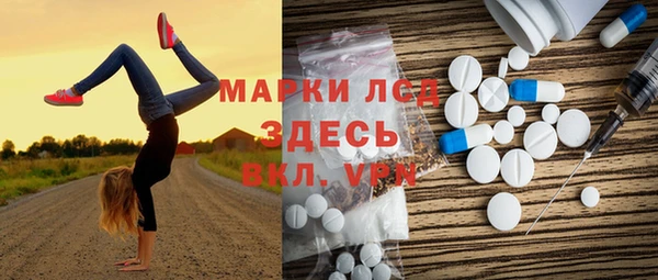 индика Новокубанск