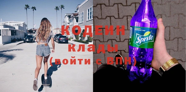 крисы Няндома