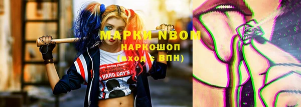 крисы Няндома