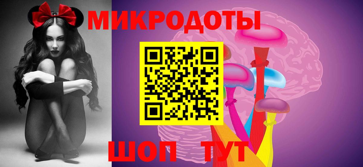 Псилоцибиновые грибы Psilocybe Ишим