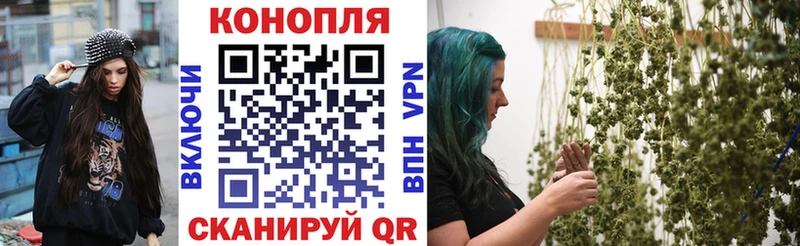 Конопля планчик Ишим